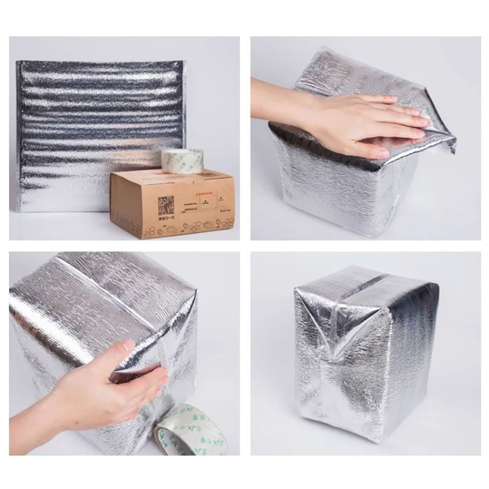 Aluminum Foil Cooler Bag Insul - đánh giá và giá Food Snacks Delivery